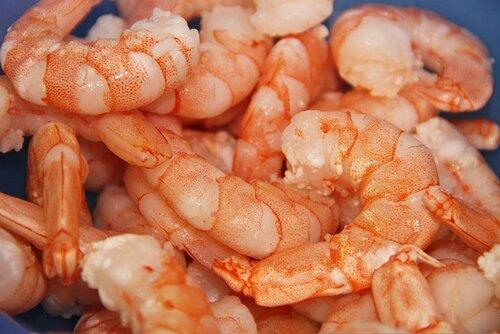 Shrimp